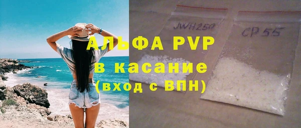 прущие грибы Нягань