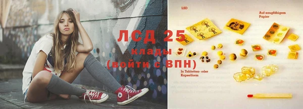 марки lsd Новозыбков
