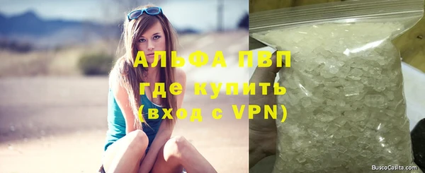 прущие грибы Нягань