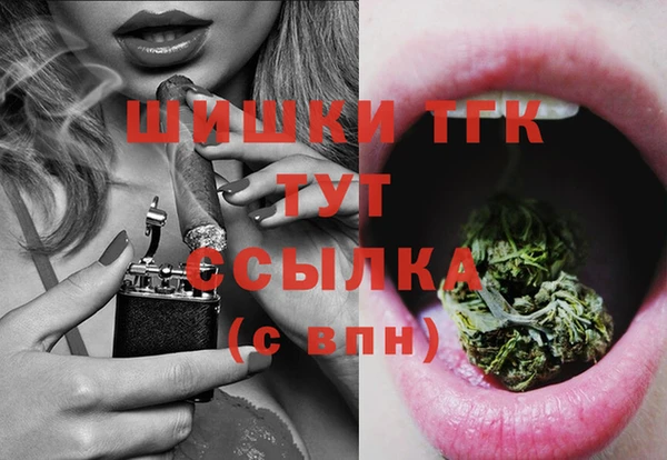 прущие грибы Нягань