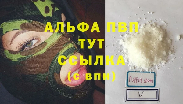прущие грибы Нягань