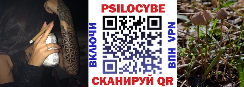 Галлюциногенные грибы ЛСД  Разумное 